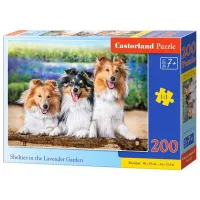 Puzzle 2D Castorland Shelties in the Lavender Garden 7+/ Numărul de piese: 200