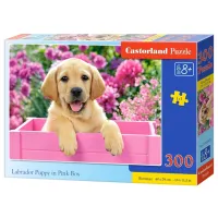 Puzzle 2D Castorland Labrador Puppy in Pink Box 8+/ Numărul de piese: 300