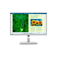 Monitor Lenovo L24m-40 23.8" Full HD 100 Hz/ 4 ms/ Silver