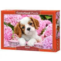 Пазл 2D Castorland Pup in Pink Flowers 9+/ Количество деталей: 500