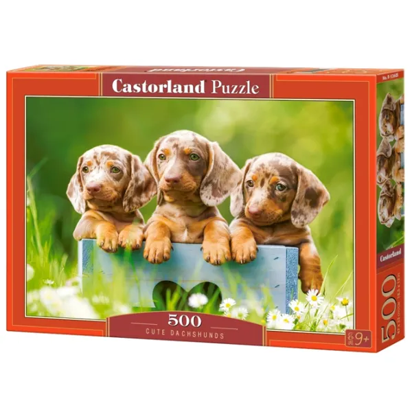 Puzzle 2D Castorland Cute Dachshunds 9+/ Numărul de piese: 500 photo 1