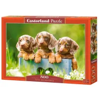 Пазл 2D Castorland Cute Dachshunds 9+/ Количество деталей: 500