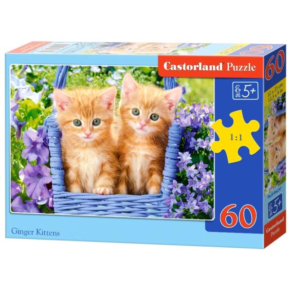 Puzzle 2D Castorland Ginger Kittens 5+/ Numărul de piese: 60 photo 1