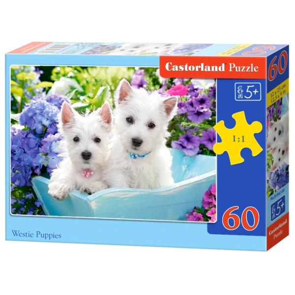Puzzle 2D Castorland Westie Puppies 5+/ Numărul de piese: 60 photo 1