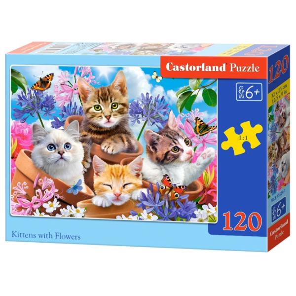Puzzle 2D Castorland Kittens with Flowers 6+/ Numărul de piese: 120 photo 1