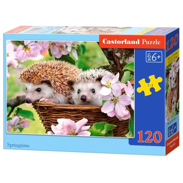 Puzzle 2D Castorland Springtime 6+/ Numărul de piese: 120 photo 1