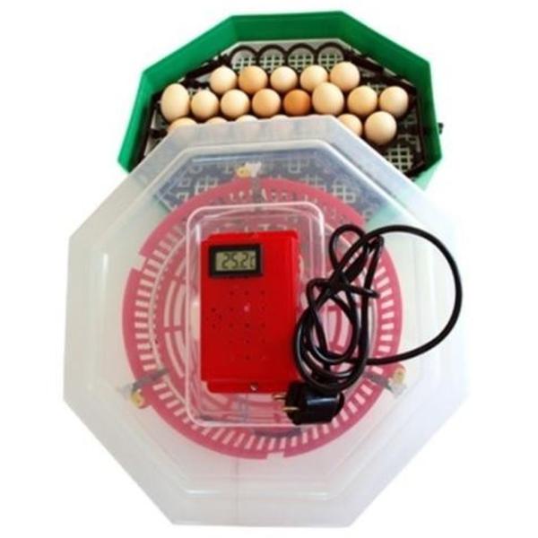 Incubator Cleo 5DT/ INC3 230 V photo 1 Incubator Cleo 5DT/ INC3 230 V photo 1