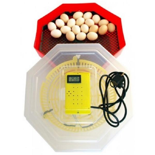 Инкубатор Cleo 5T/ INC4 230 В photo 1 Инкубатор Cleo 5T/ INC4 230 В photo 1