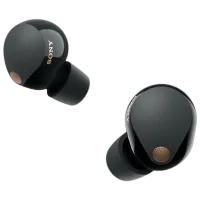 Наушники Sony WF-1000XM5 Черный Беспроводные/ Персональный