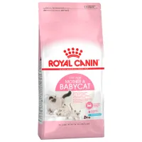 Hrană pentru pisici uscată Royal Canin Mother & Babycat 27833-001 10 kg/ Găină