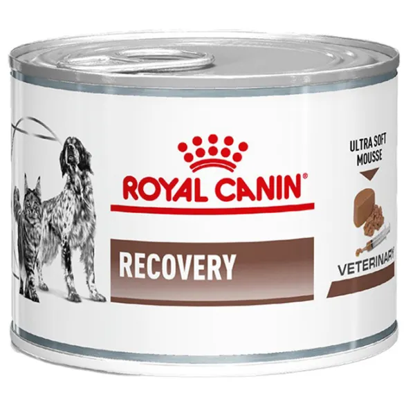 Hrană pentru pisici umedă Royal Canin Recovery 279451 195 g/ Găină photo 1