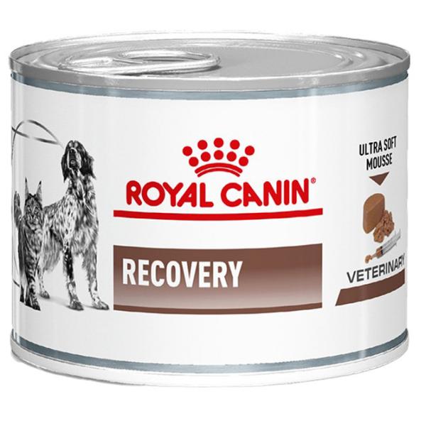 Hrană pentru pisici umedă Royal Canin Recovery 279451 195 g/ Găină photo 1