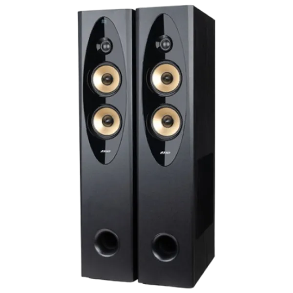 Sistem audio F&D T-60X Pro 120 W/ Black photo 1