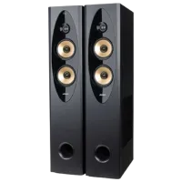 Sistem audio F&D T-60X Pro 120 W/ Black