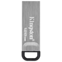 Kingston DataTravel Kyson 128 ГБ Серебряный