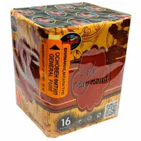 Baterie de artificii Pyro EC6201 16 focuri