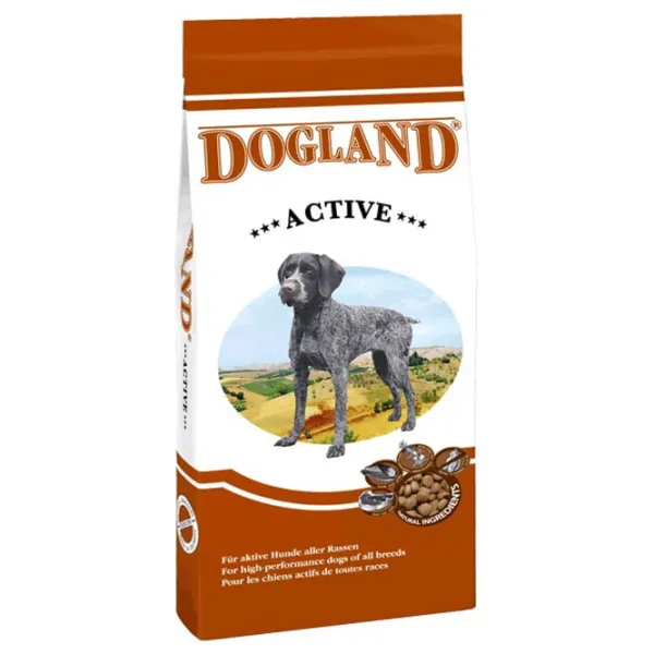 Hrană pentru câini uscată Dogland Active 736325 15 kg/ Găină photo 1 Hrană pentru câini uscată Dogland Active 736325 15 kg/ Găină photo 1