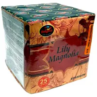 Baterie de artificii Pyro EC6202/ 25 25 focuri