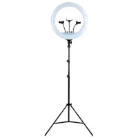 Штатив с круглой лампой Selfie Ring Light RL-18 457 мм Черный