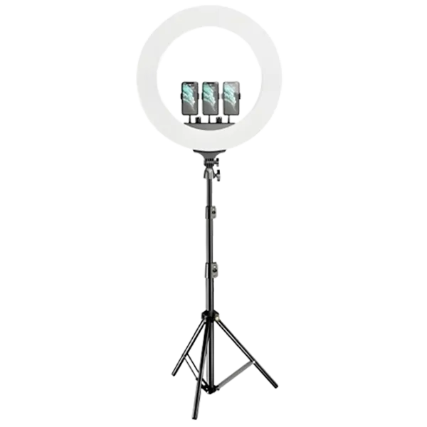 Штатив с круглой лампой Selfie Ring Light M22S 558 мм Черный photo 1
