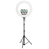 Штатив с круглой лампой Selfie Ring Light M22S 558 мм Черный