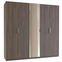 Шкаф Раздвижной Dogtas Piero TX 3FX 223 x 60см x 220 / ДСП / Кеас Венера