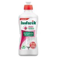 Detergent de vase Ludwik 5900498028324 0.45 l/ Rodie și verbena