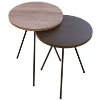 Măsuță de cafea Dogtas Piero Nuc