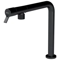 Baterie pentru bucătărie Elleci Solo mono comandă/ pivotantă/ Alamă/ Black
