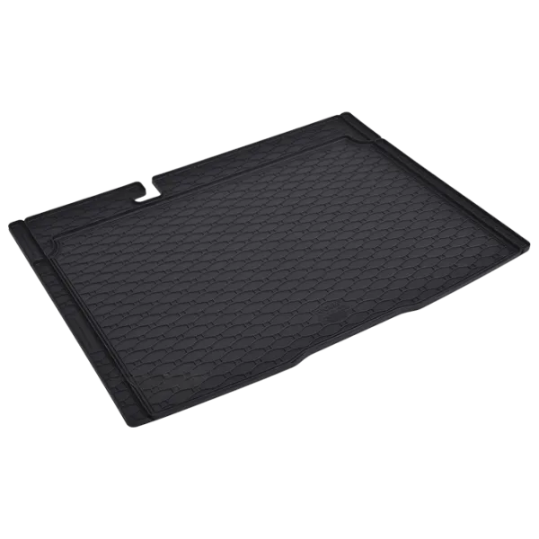 Covorașe auto Dacia Stepway 2021 - Rigum/ 405019 photo 1