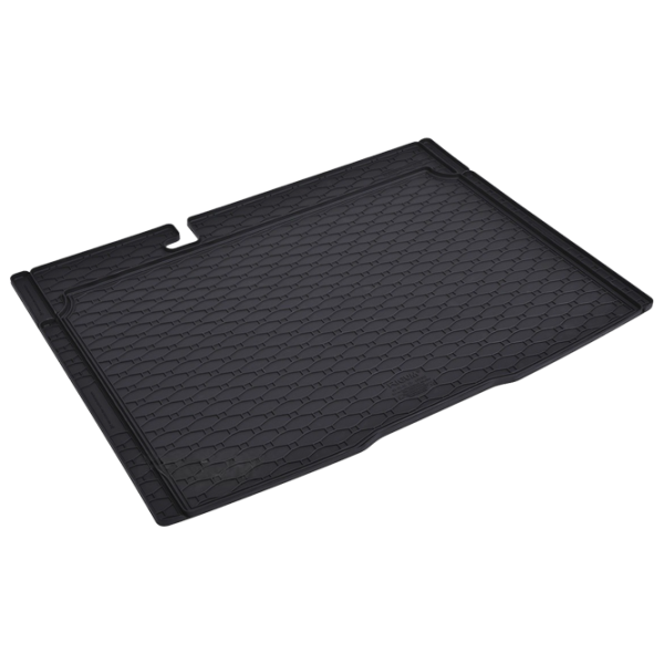 Covorașe auto Dacia Stepway 2021 - Rigum/ 405019 photo 1