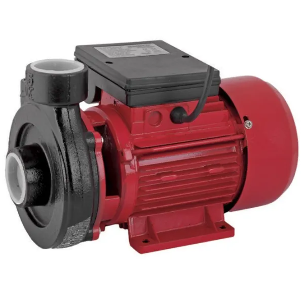 Pompă de suprăfață Raider RD-1.5DK20 750 W 12000 l/ h photo 1