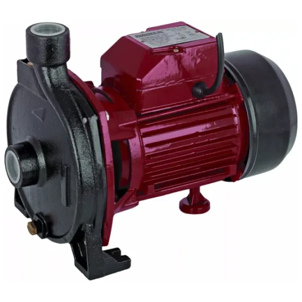 Pompă de suprăfață Raider RD-CPM158 750 W 5700 l/ h photo 1