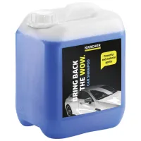 Sampon auto KARCHER RM 619 (6.295-360.0) interiorul mașinii