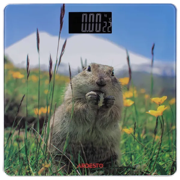 Cântar de podea Ardesto SCB-965MARMOT 150 kg/ Multicolor photo 1