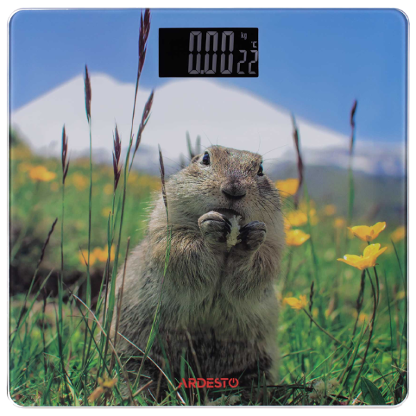 Cântar de podea Ardesto SCB-965MARMOT 150 kg/ Multicolor photo 1