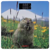 Cântar de podea Ardesto SCB-965MARMOT 150 kg/ Multicolor