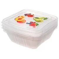 Container Snips 45451 0.5 l/ Plastic/ Transparent