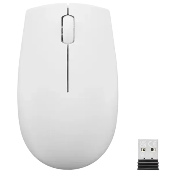 Mouse Lenovo 300 Compact Gray photo 1