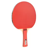 Ракеткa Joola Team Junior Для настольного тенниса/ Вогнутый/ Резина