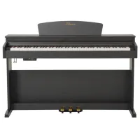 Pian electric Flame SLP175RW Acustic / 88 clape / Split / Rosewood