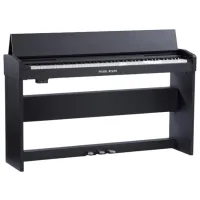 Цифровой пиан Pearl River F13BK Акустический / 88 клавиш / Split / Черный