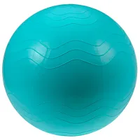 Фитбол XQMAX 65см+насос 65 см/ Разноцветный