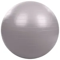 Fitball Arena 826075 75 cm/ Grey
