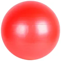 Фитбол Arena 826075 75 см/ Красный
