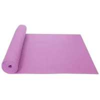 Covoraș fitness Arena 840356L 173 x 61 x 6 mm/ PVC
