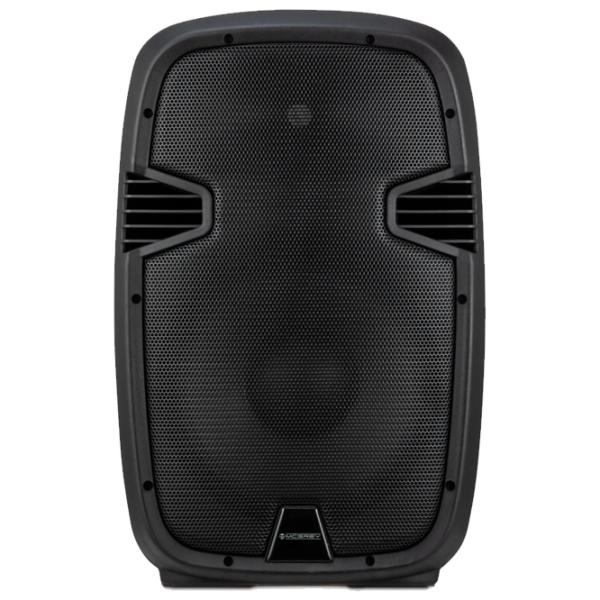 Активная колонка McGrey P212 MA Проводная/ 600 W/ 95 дБ photo 1