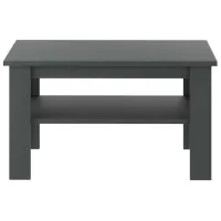 Журнальный столик Fabrik Home Blanca Антрацит