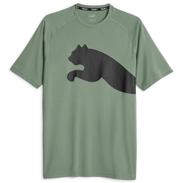 Tricou pentru bărbați Puma Train All Day Big Cat Tee 100% poliester/ Eucalyptus photo 1