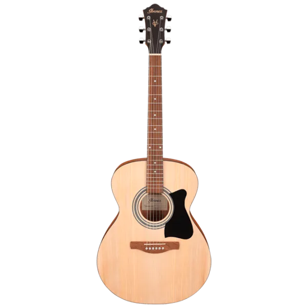 Chitară acustică Ibanez VC50NJP NT 4/ 4, Dreadnought, Natural photo 1